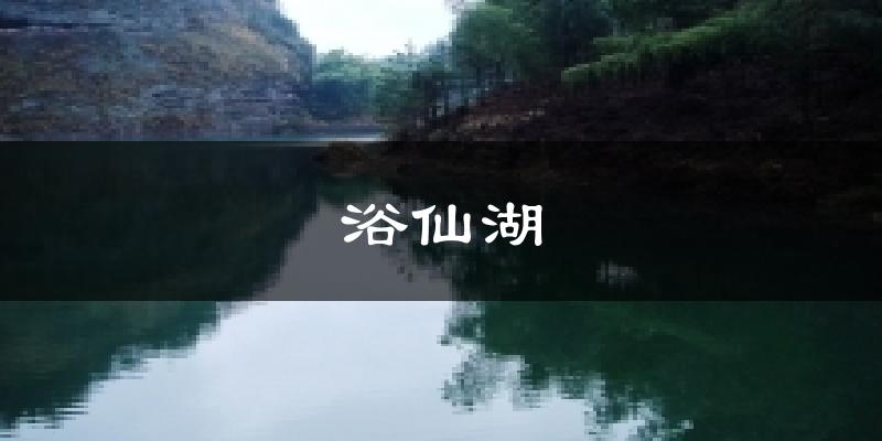 浴仙湖气温