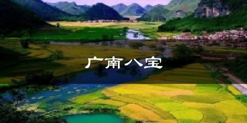 广南八宝气温