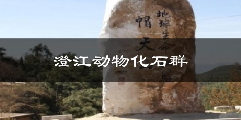 澄江动物化石群气温