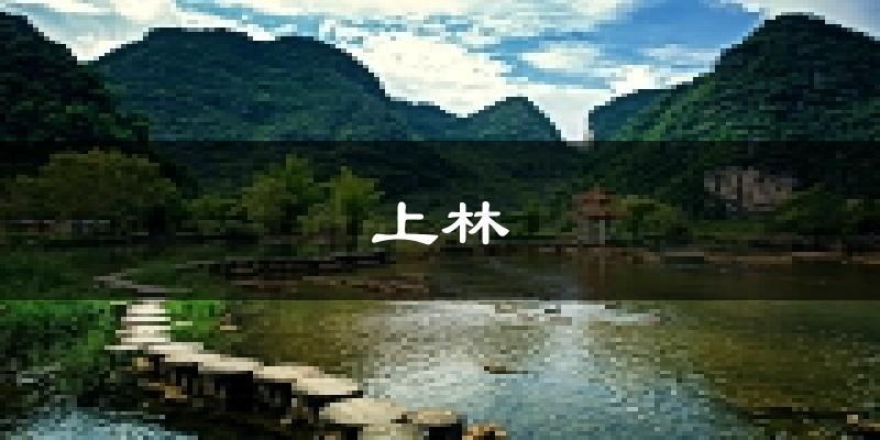 上林天气预报未来一周