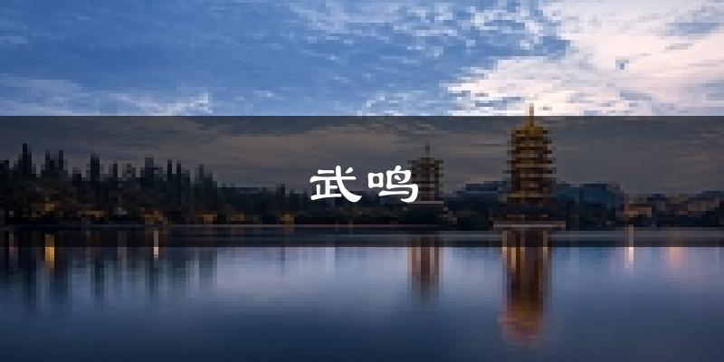 南宁武鸣天气预报未来一周