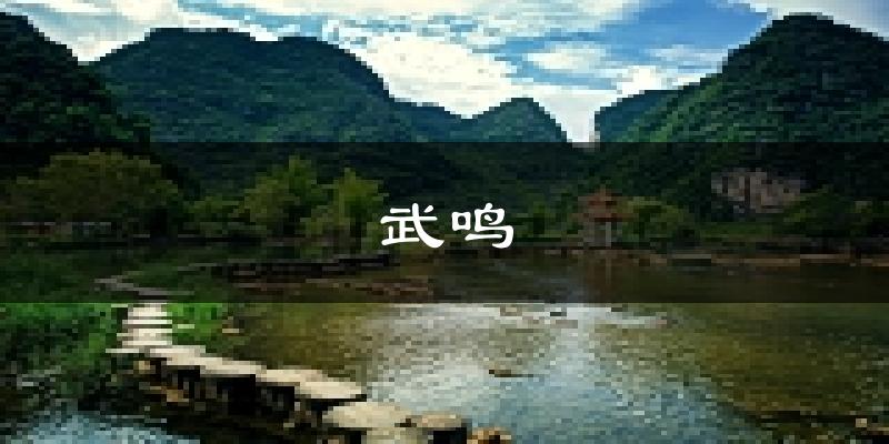 南宁武鸣天气预报未来一周