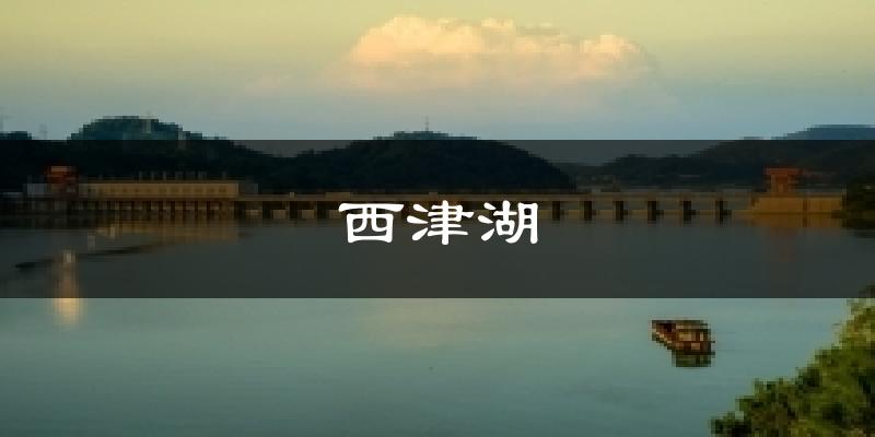西津湖气温