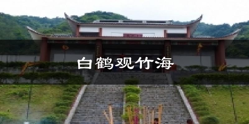 白鹤观竹海气温