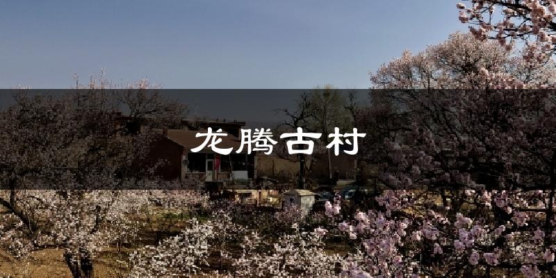 龙腾古村气温
