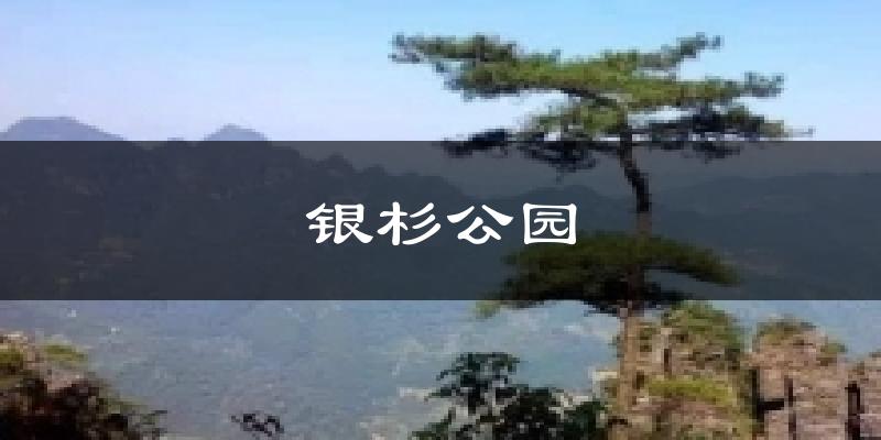 银杉公园气温