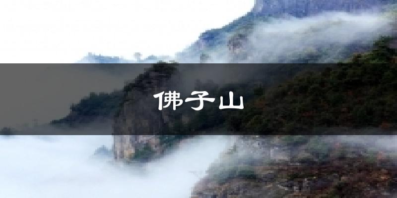 佛子山气温