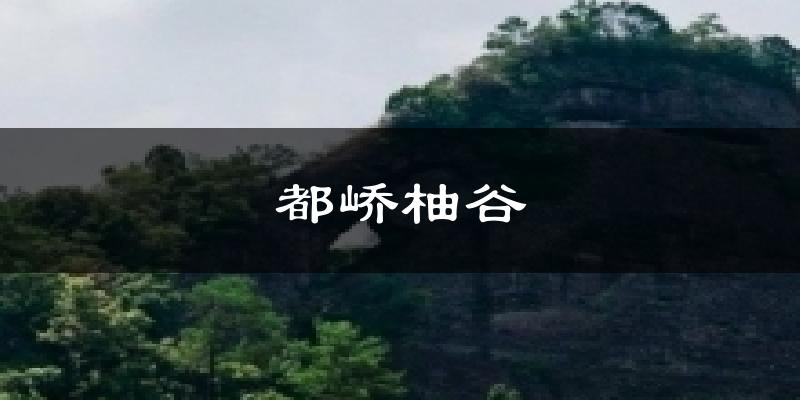 都峤柚谷今日天气