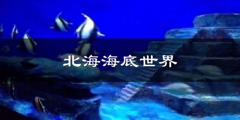 北海海底世界气温