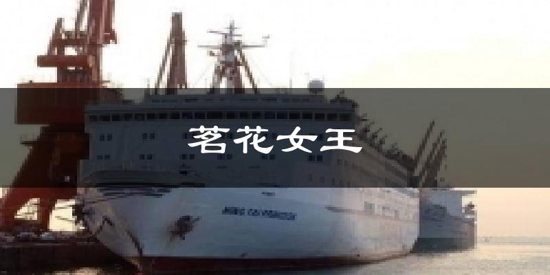 茗花女王气温