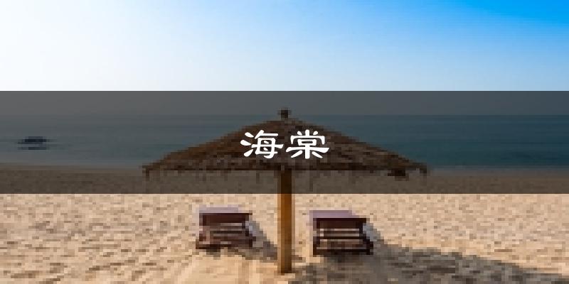 三亚海棠天气预报未来一周