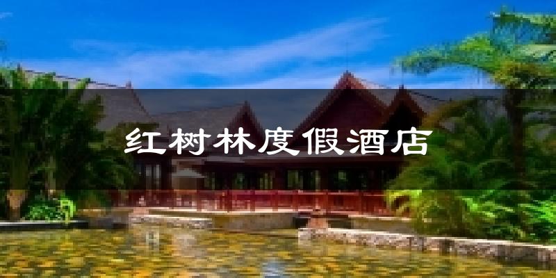 红树林度假酒店气温