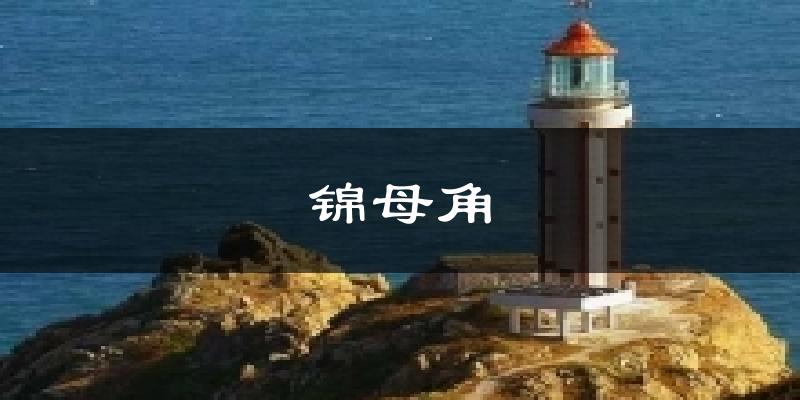 锦母角气温