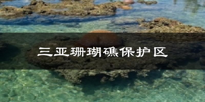 三亚珊瑚礁保护区气温