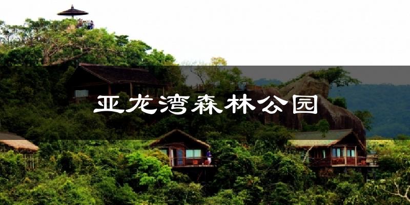 亚龙湾森林公园气温