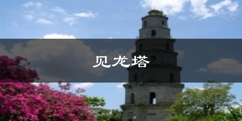 见龙塔气温