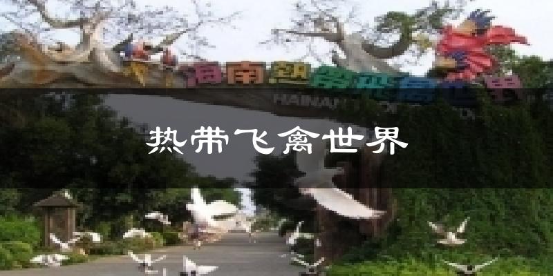 热带飞禽世界气温